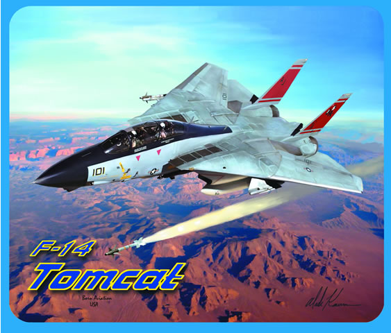 F-14 Tomcat "Felix 101" Mouse Pad